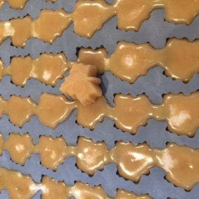vermont maple candy vermont maple candy