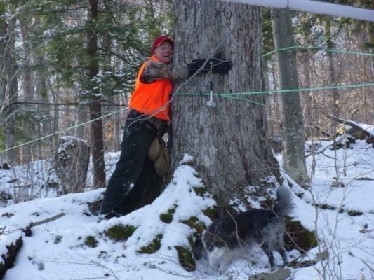 maple syrup farmer