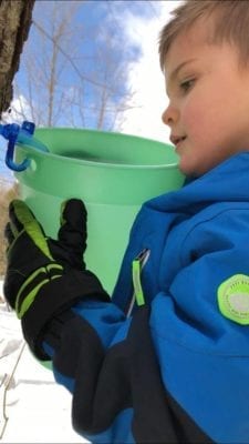 maple syrup farmer